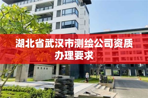 湖北省武汉市测绘公司资质办理要求