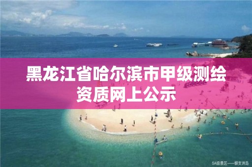 黑龙江省哈尔滨市甲级测绘资质网上公示