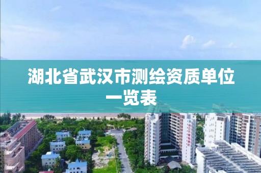 湖北省武汉市测绘资质单位一览表