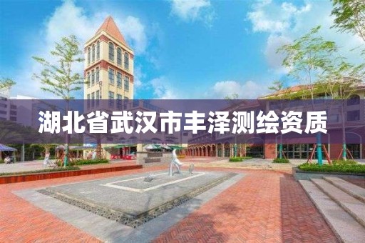 湖北省武汉市丰泽测绘资质