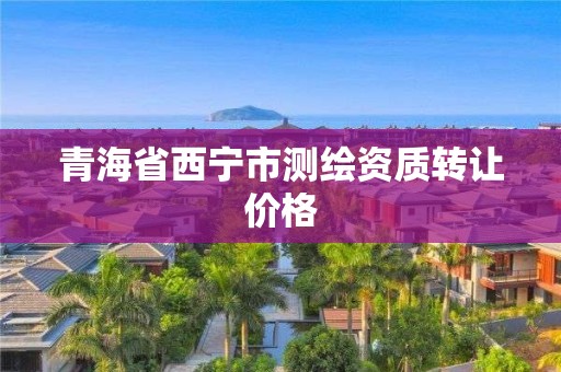 青海省西宁市测绘资质转让价格