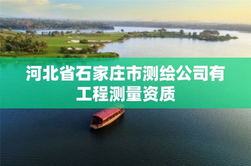 河北省石家庄市测绘公司有工程测量资质