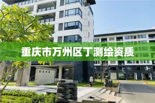 重庆市万州区丁测绘资质