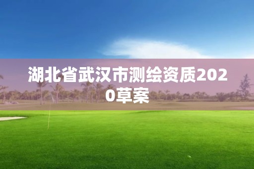 湖北省武汉市测绘资质2020草案