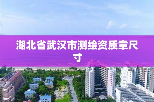 湖北省武汉市测绘资质章尺寸