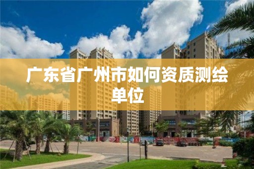 广东省广州市如何资质测绘单位