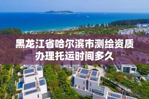 黑龙江省哈尔滨市测绘资质办理托运时间多久