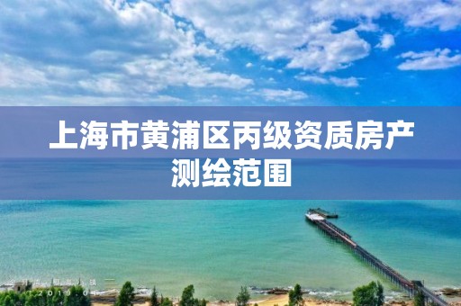 上海市黄浦区丙级资质房产测绘范围