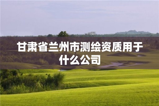 甘肃省兰州市测绘资质用于什么公司