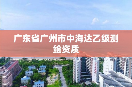 广东省广州市中海达乙级测绘资质