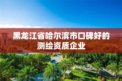 黑龙江省哈尔滨市口碑好的测绘资质企业