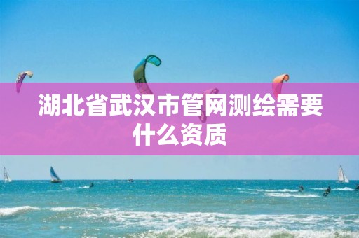 湖北省武汉市管网测绘需要什么资质