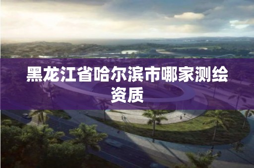 黑龙江省哈尔滨市哪家测绘资质