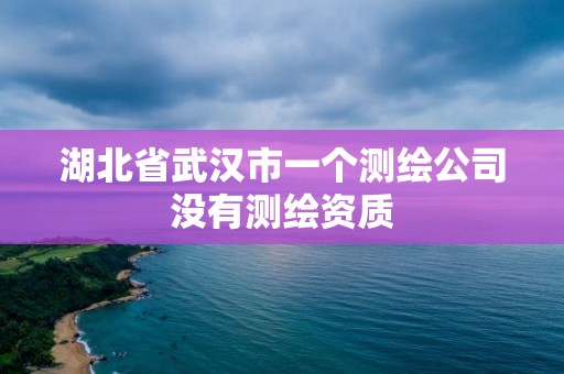 湖北省武汉市一个测绘公司没有测绘资质