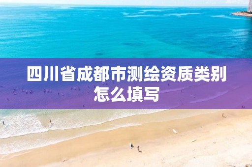 四川省成都市测绘资质类别怎么填写