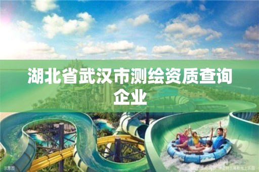 湖北省武汉市测绘资质查询企业