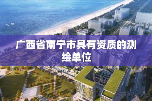 广西省南宁市具有资质的测绘单位