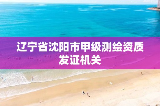 辽宁省沈阳市甲级测绘资质发证机关