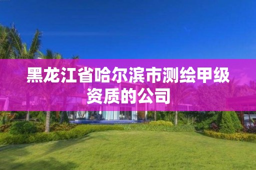 黑龙江省哈尔滨市测绘甲级资质的公司