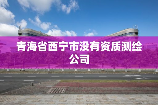 青海省西宁市没有资质测绘公司