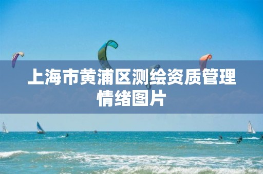 上海市黄浦区测绘资质管理情绪图片