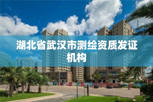 湖北省武汉市测绘资质发证机构