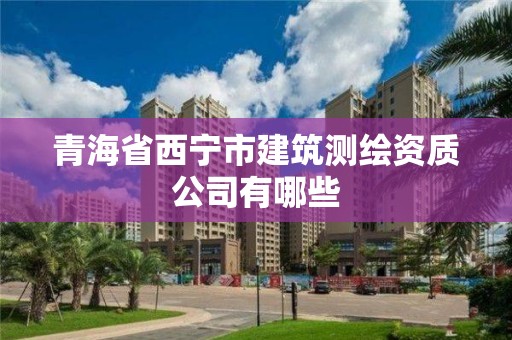 青海省西宁市建筑测绘资质公司有哪些