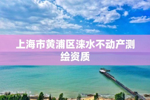 上海市黄浦区涞水不动产测绘资质