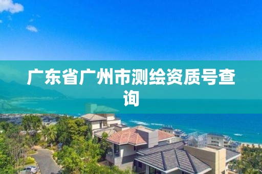 广东省广州市测绘资质号查询