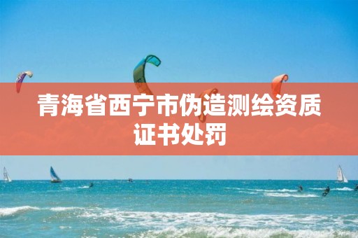 青海省西宁市伪造测绘资质证书处罚