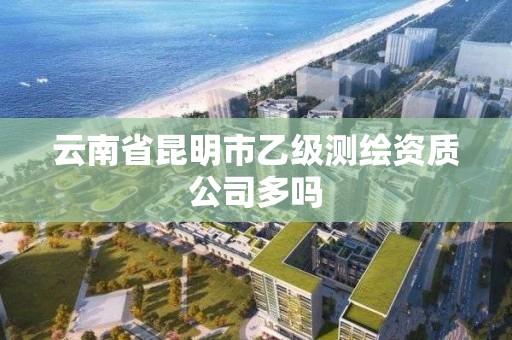 云南省昆明市乙级测绘资质公司多吗