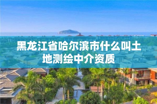 黑龙江省哈尔滨市什么叫土地测绘中介资质