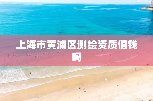 上海市黄浦区测绘资质值钱吗