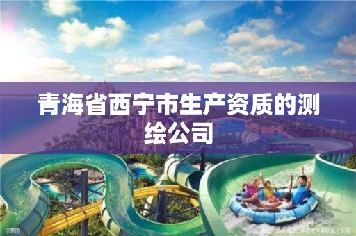 青海省西宁市生产资质的测绘公司