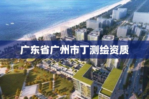 广东省广州市丁测绘资质