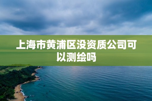 上海市黄浦区没资质公司可以测绘吗