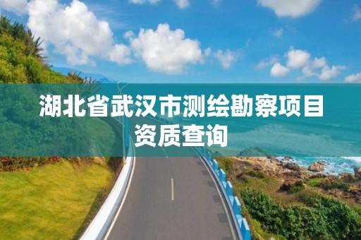 湖北省武汉市测绘勘察项目资质查询