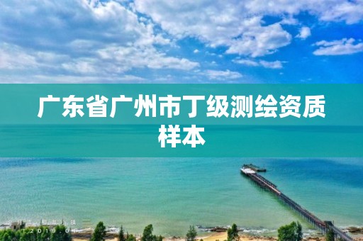 广东省广州市丁级测绘资质样本