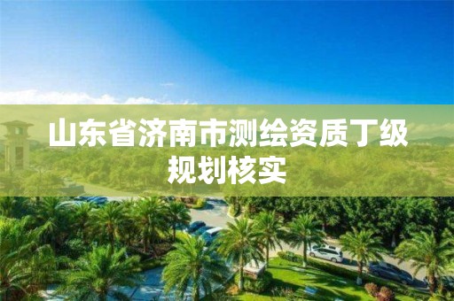 山东省济南市测绘资质丁级规划核实