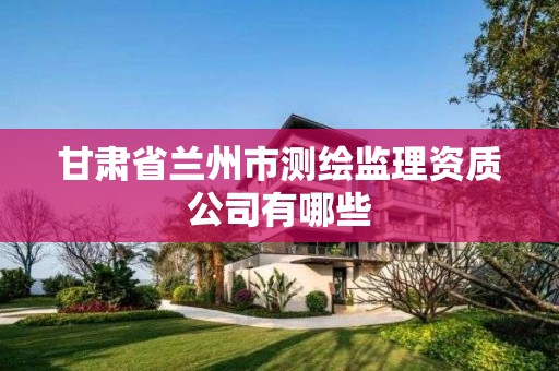 甘肃省兰州市测绘监理资质公司有哪些