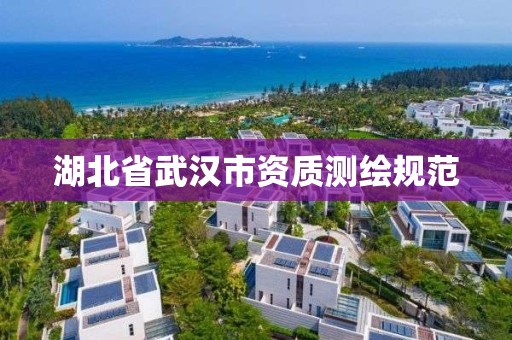 湖北省武汉市资质测绘规范