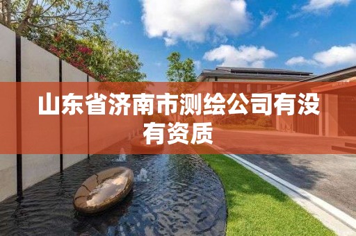 山东省济南市测绘公司有没有资质