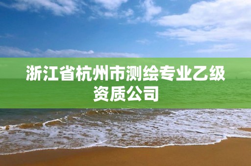 浙江省杭州市测绘专业乙级资质公司