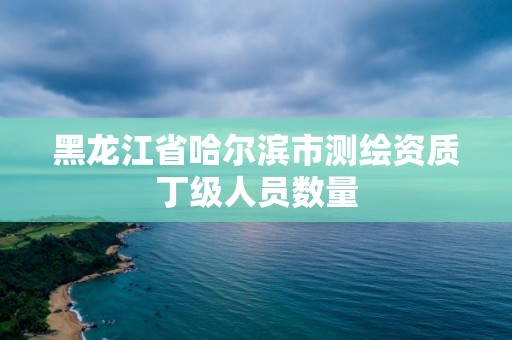 黑龙江省哈尔滨市测绘资质丁级人员数量