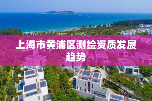 上海市黄浦区测绘资质发展趋势