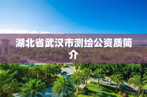 湖北省武汉市测绘公资质简介