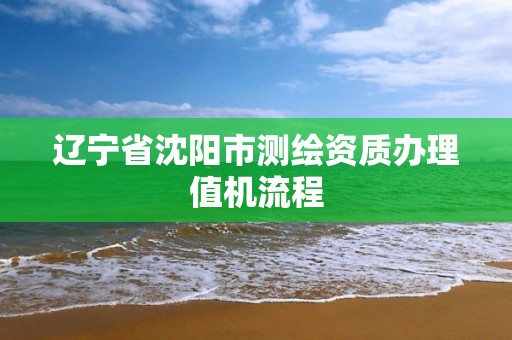 辽宁省沈阳市测绘资质办理值机流程