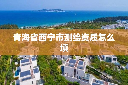 青海省西宁市测绘资质怎么填