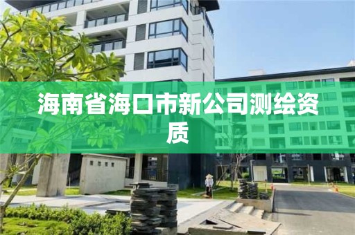 海南省海口市新公司测绘资质