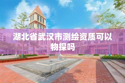 湖北省武汉市测绘资质可以物探吗